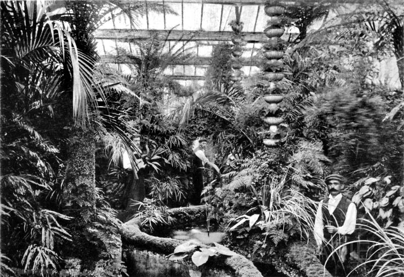 NASH COURT FERNERY.jpg